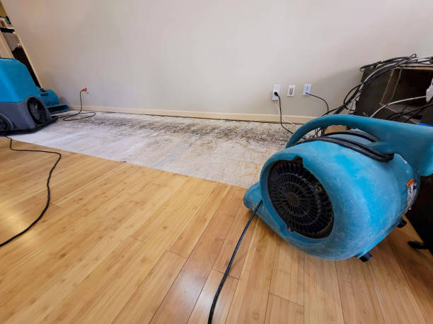 Professional Flood Damage Cleanup technician working in Thompsons, TX